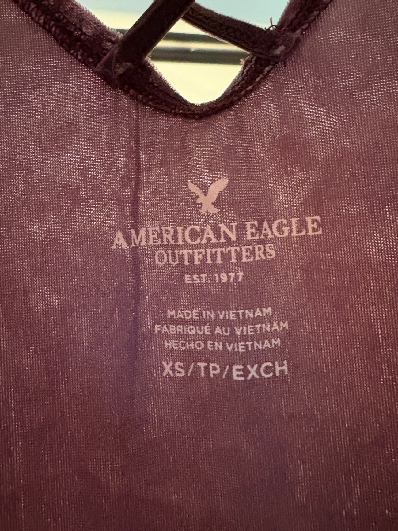 American Eagle Crushed Velvet Tank