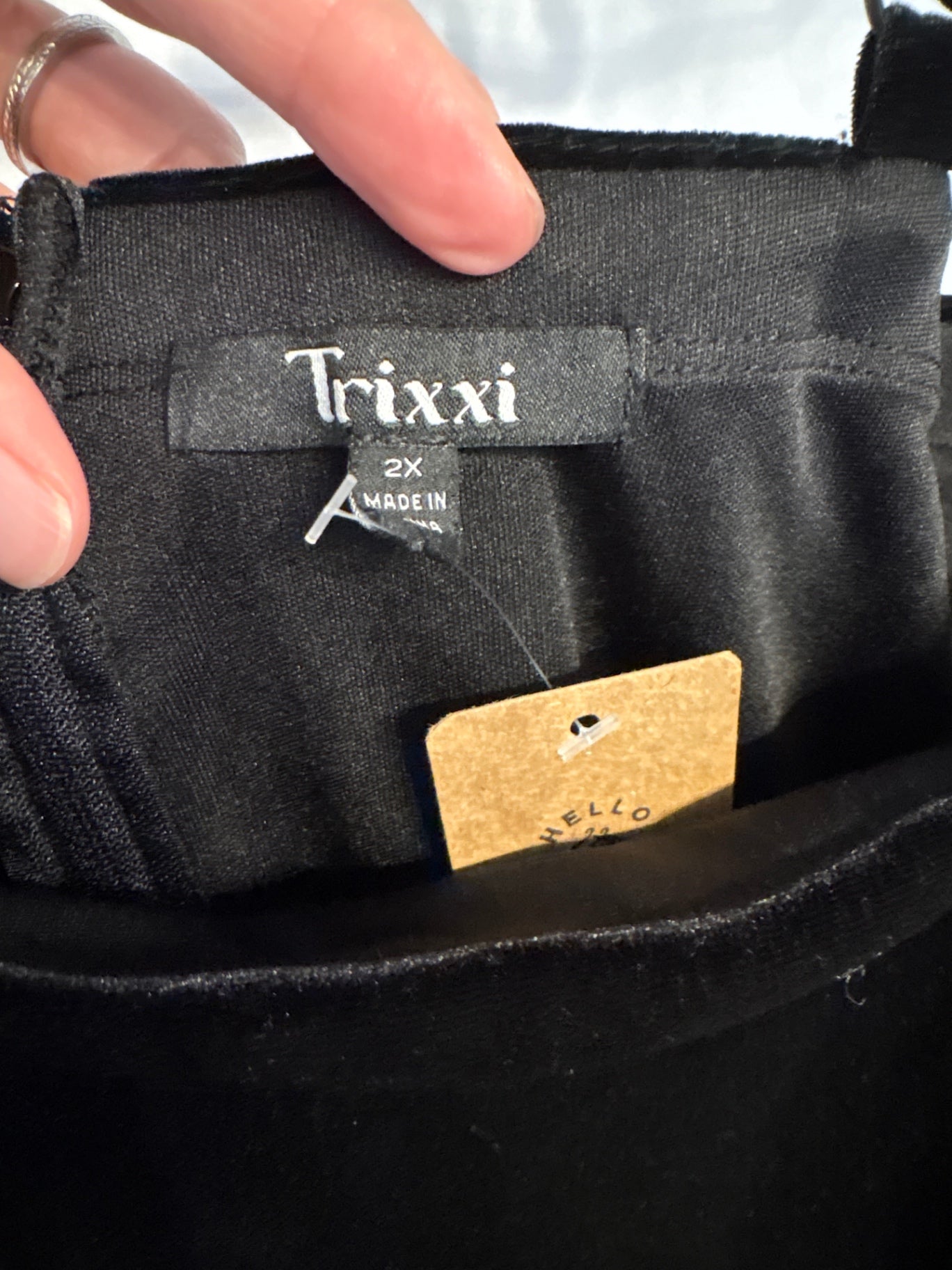 Trixxi Velvet and Tulle Mini Dress