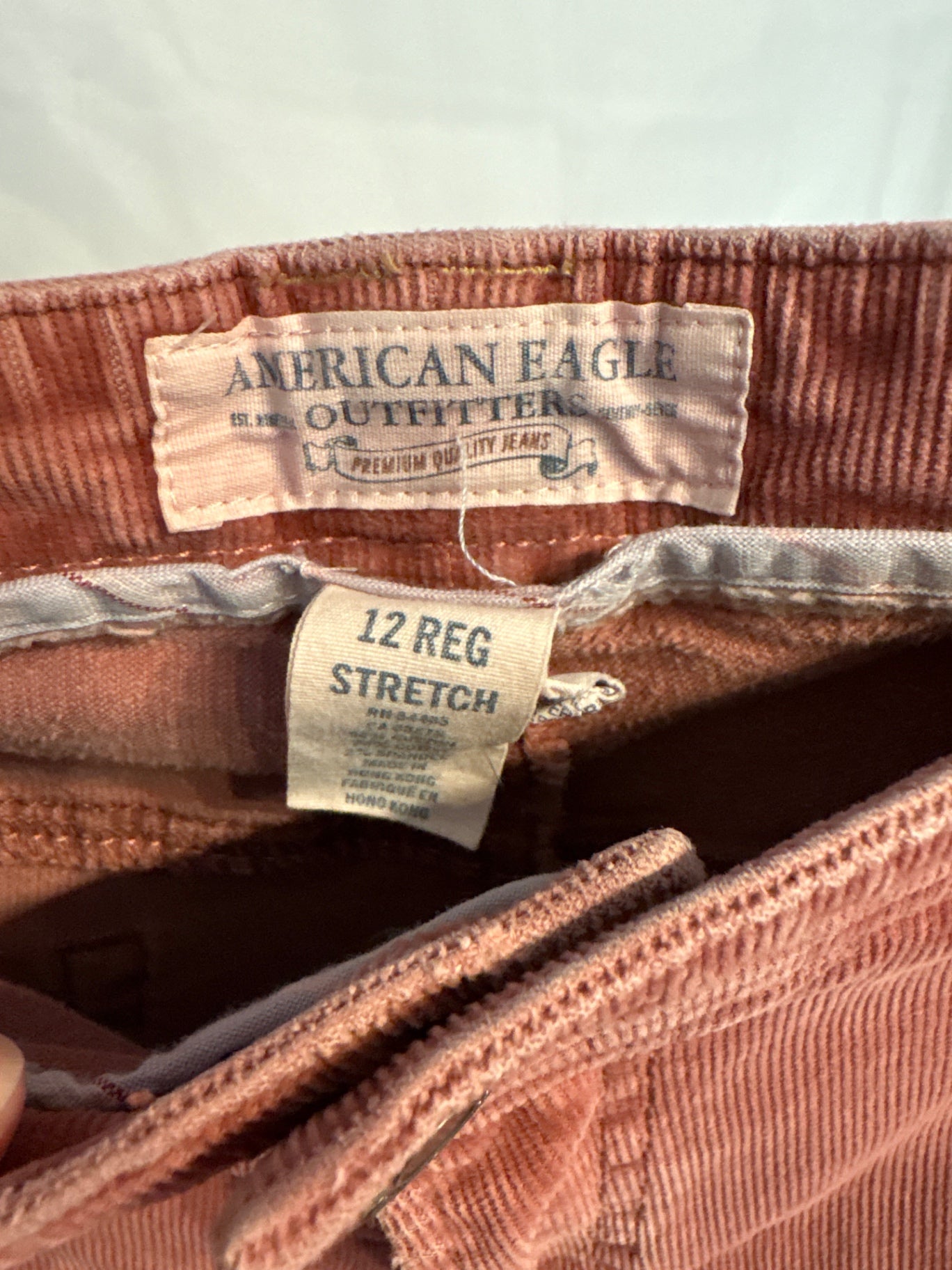 American Eagle Low Rise Corduroy Pants in Dusty Rose