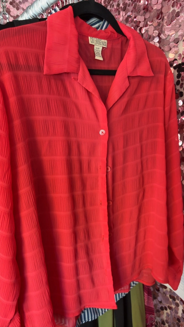 Coleridge Shirt / Size: 12/L