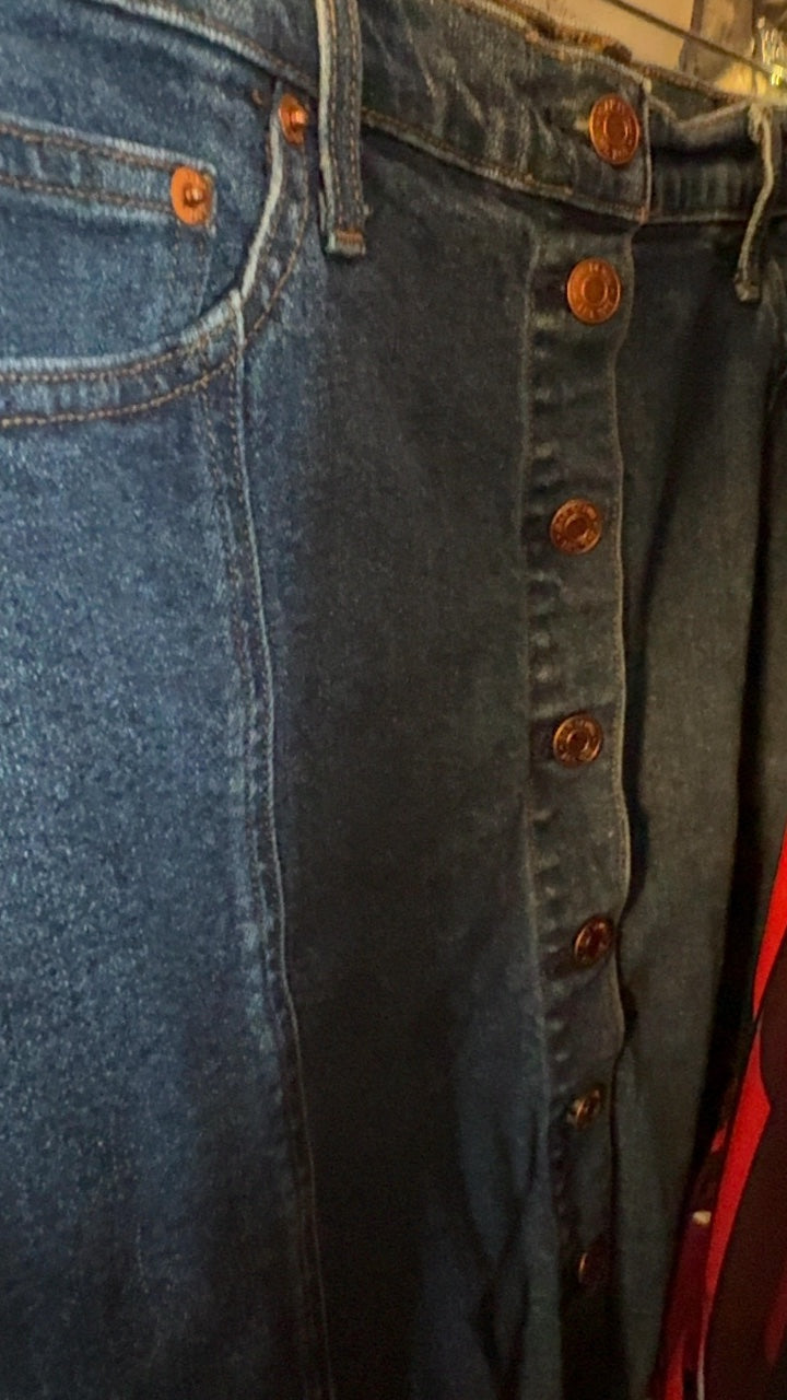 GAP Button Front Denim Skirt / Size: 30/10/M