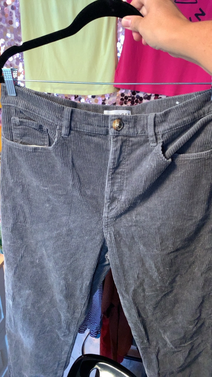 LOFT Grey Pants / Size: 12 / L