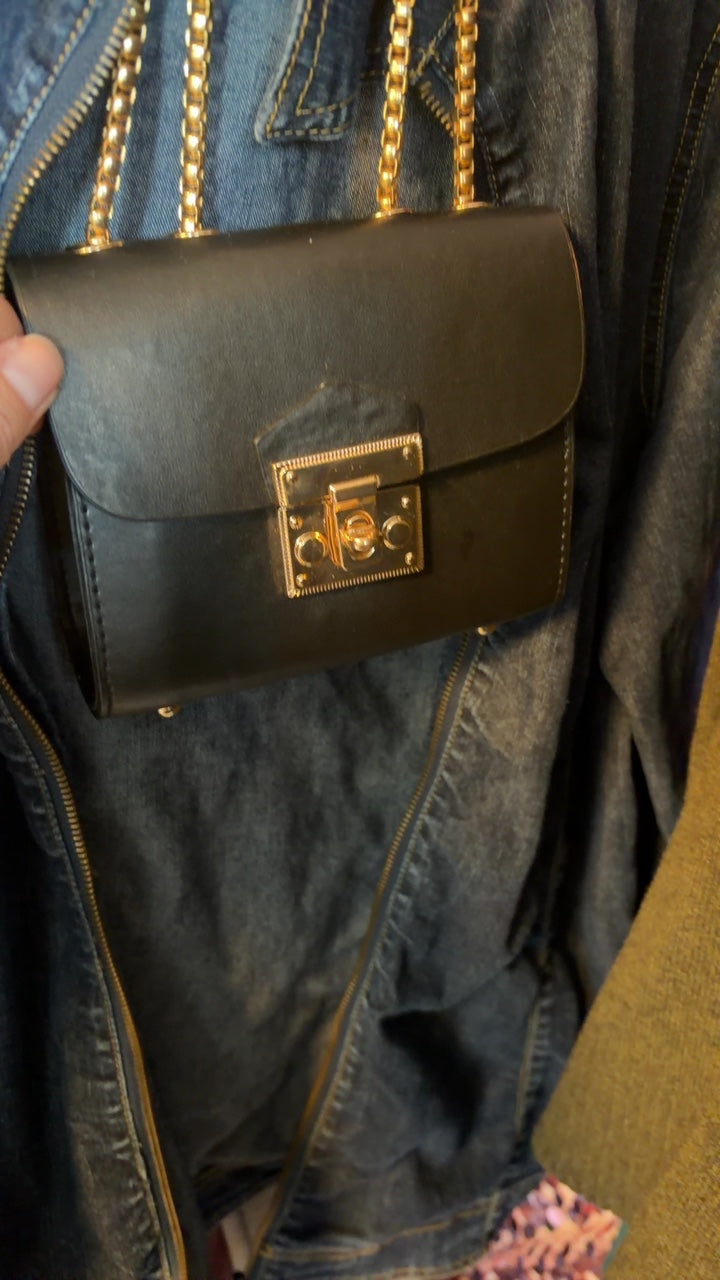 Faux Leather and Golden Handbag