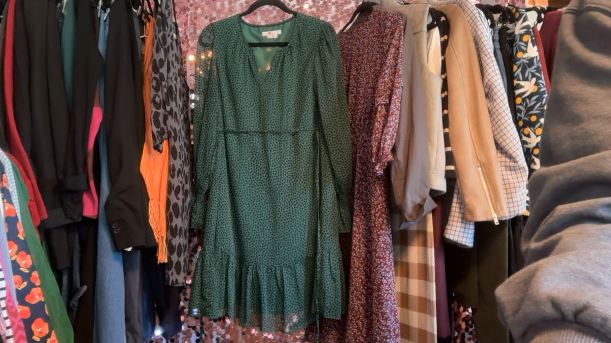 Boden Long Sleeve Chiffon Dress in Green / Size: 6/S
