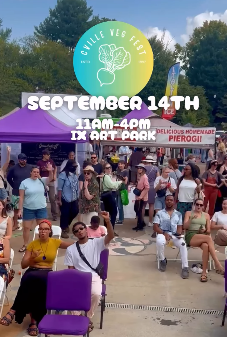 Promotional poster for a chili veg fest event at IX Art Park with people and stalls.