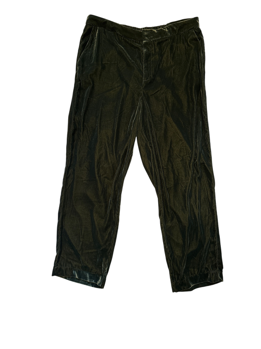 A New Day Velvet Pants in Green - NWT
