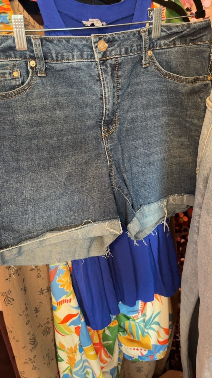 7 For All Mankind Shorts / Size: 12