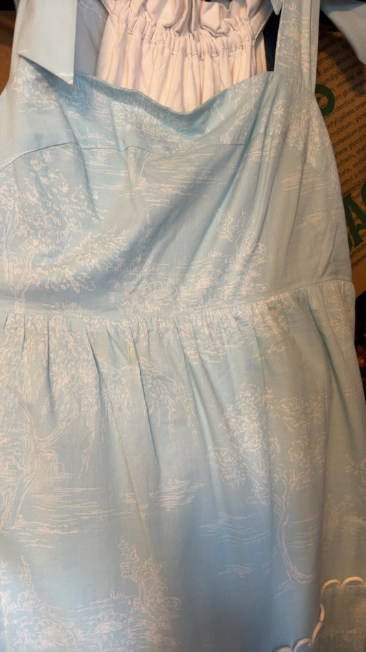 Biltmore Dress / Size: S