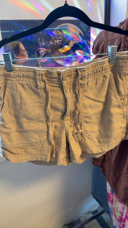American Eagle Shorts / Size: 8/M
