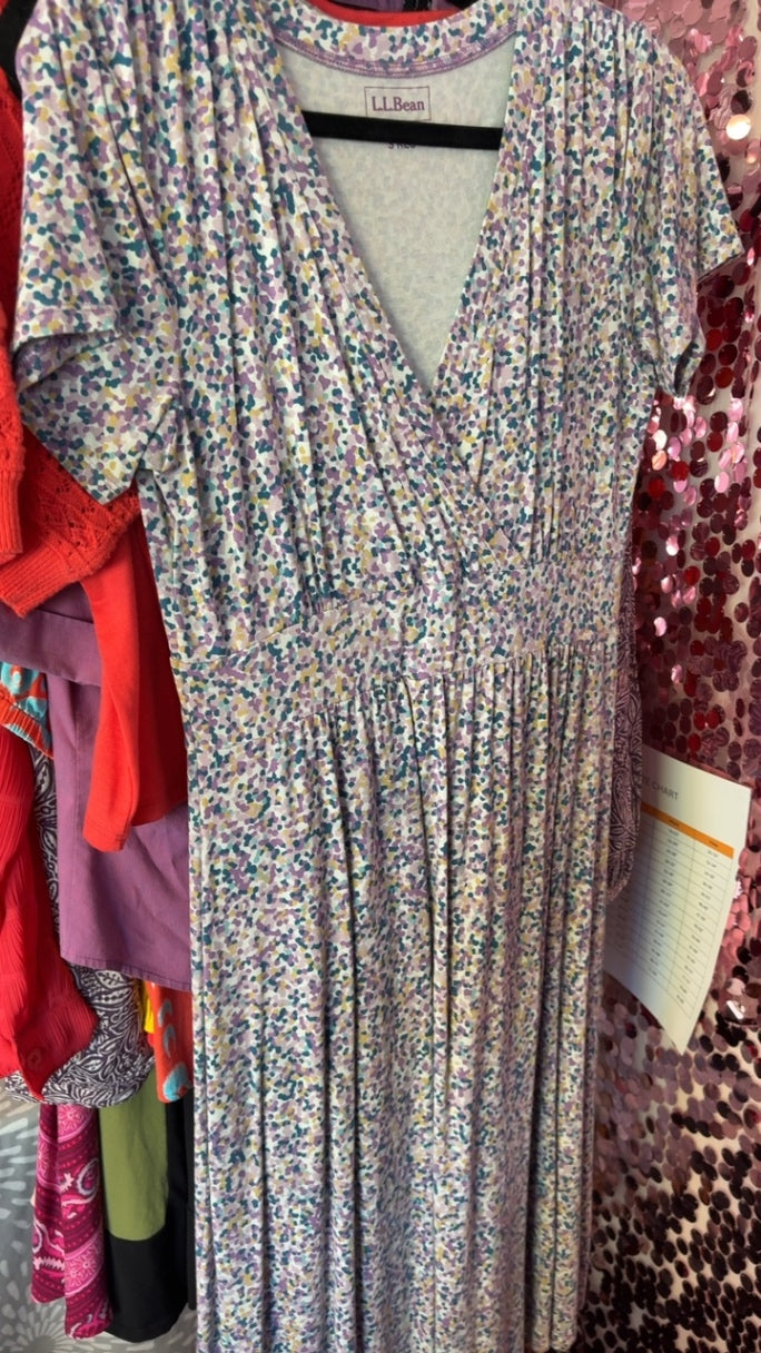 L.L.Bean Dress / Size: S