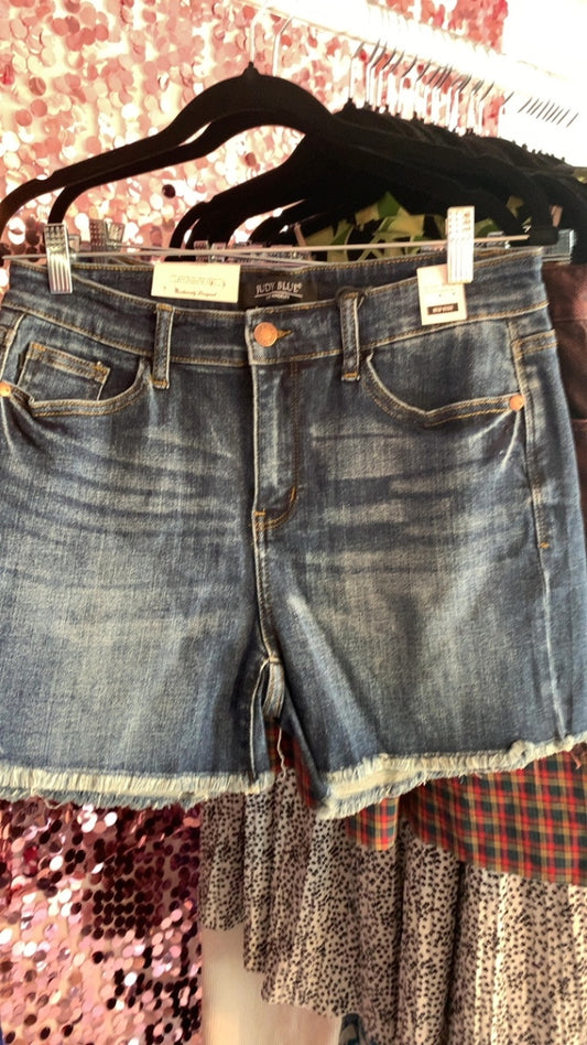Judy Blue Denim shorts / Size: 29/8/M