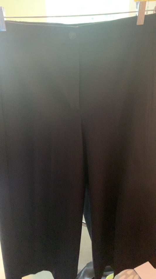 ANN TAYLOR Pants / Size: 12/L