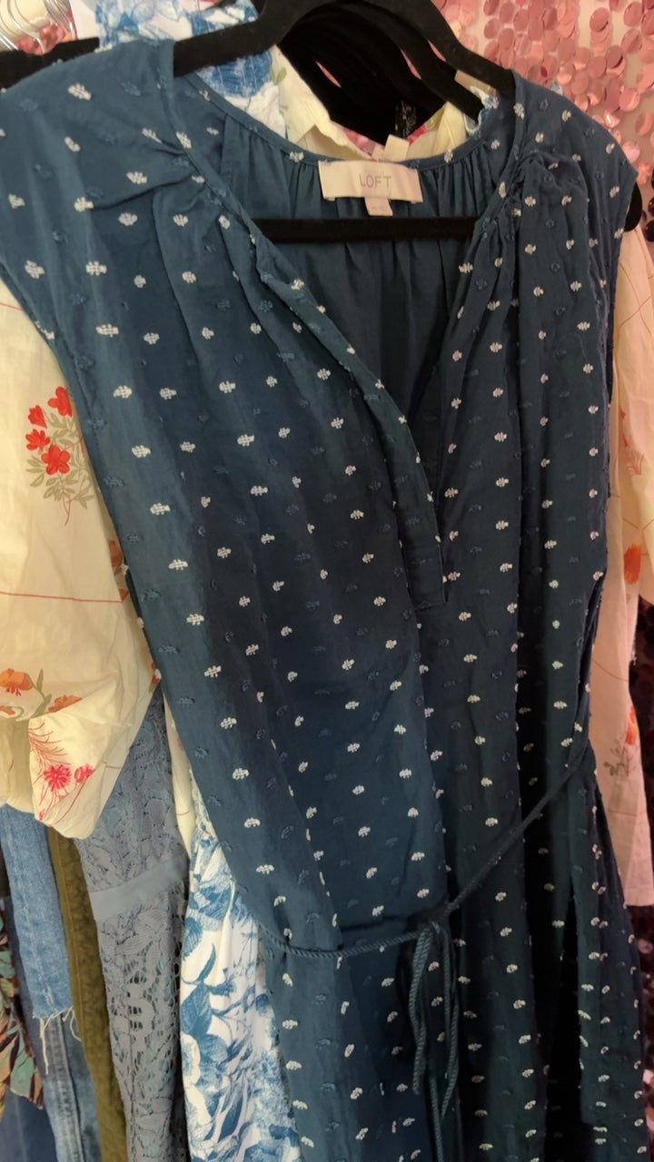 LOFT Clipped Dot Dress / Size: XS