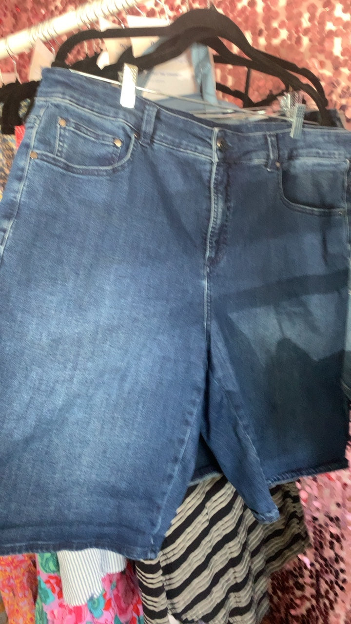 Universal Standard Denim shorts / Size: 14