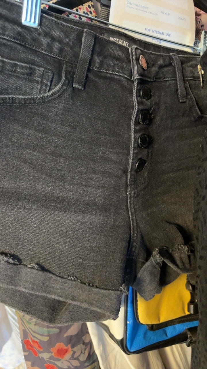 Just Black Denim Shorts / Size: 26/2/XS