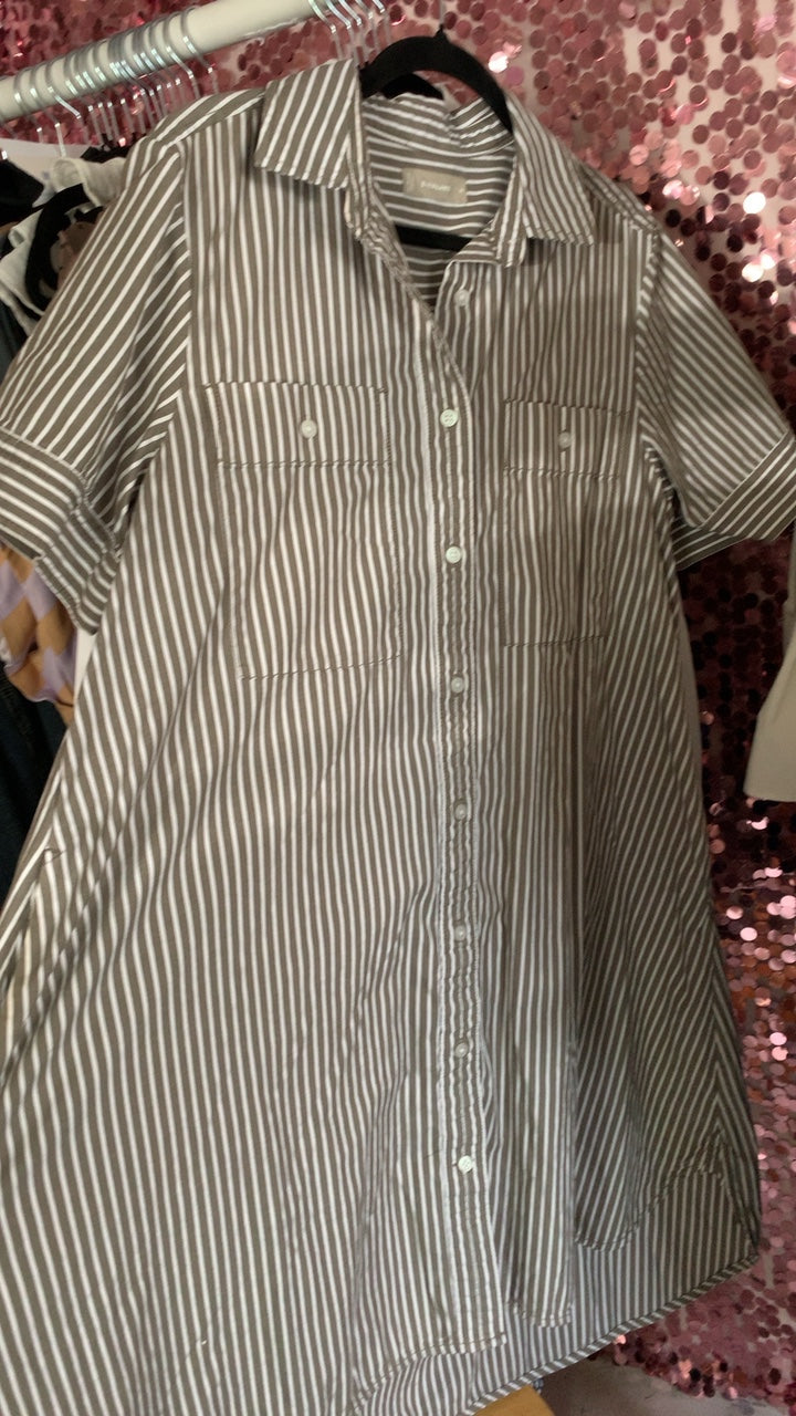Everlane striped Dress / Size: M