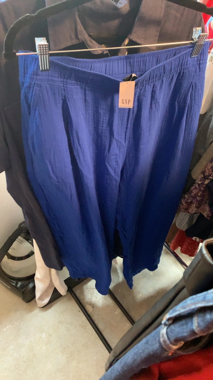 GAP Blue Pants / Size: XL