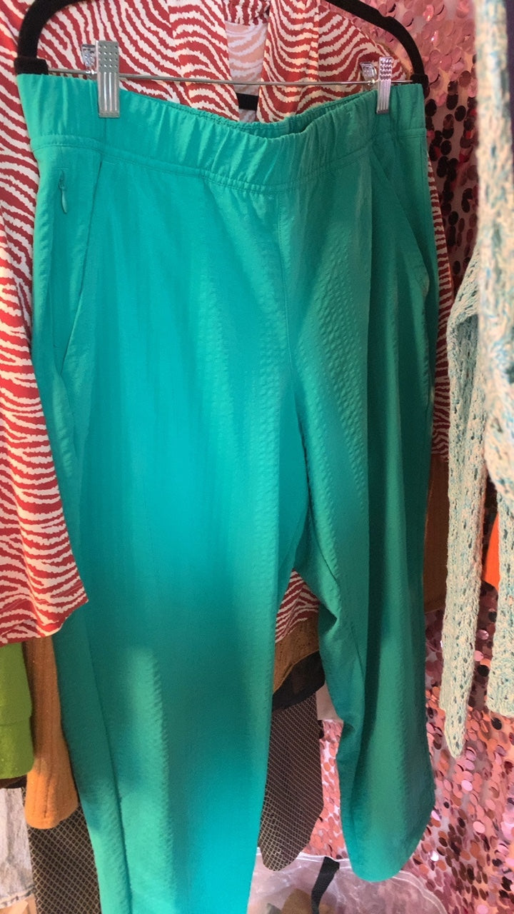 Title Nine Teal Pants / Size: L