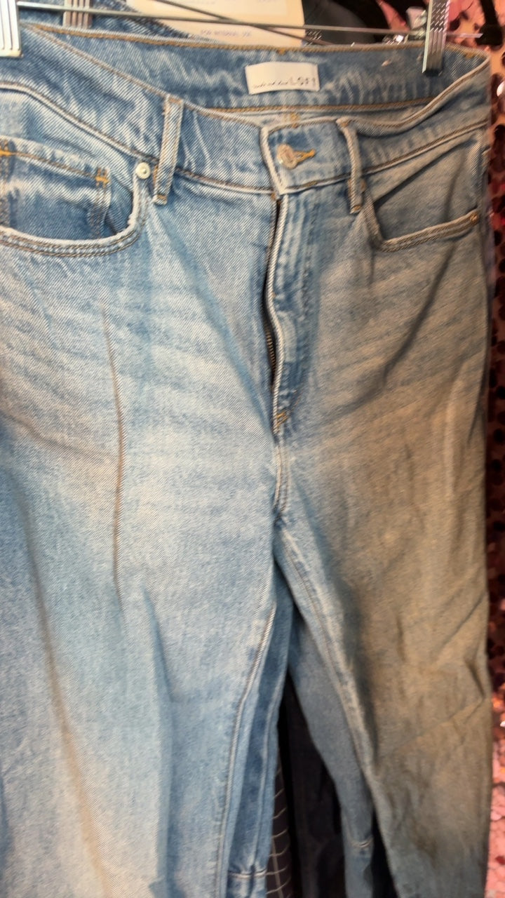 LOFT The Wide LegJeans / Size: 26/2/XS