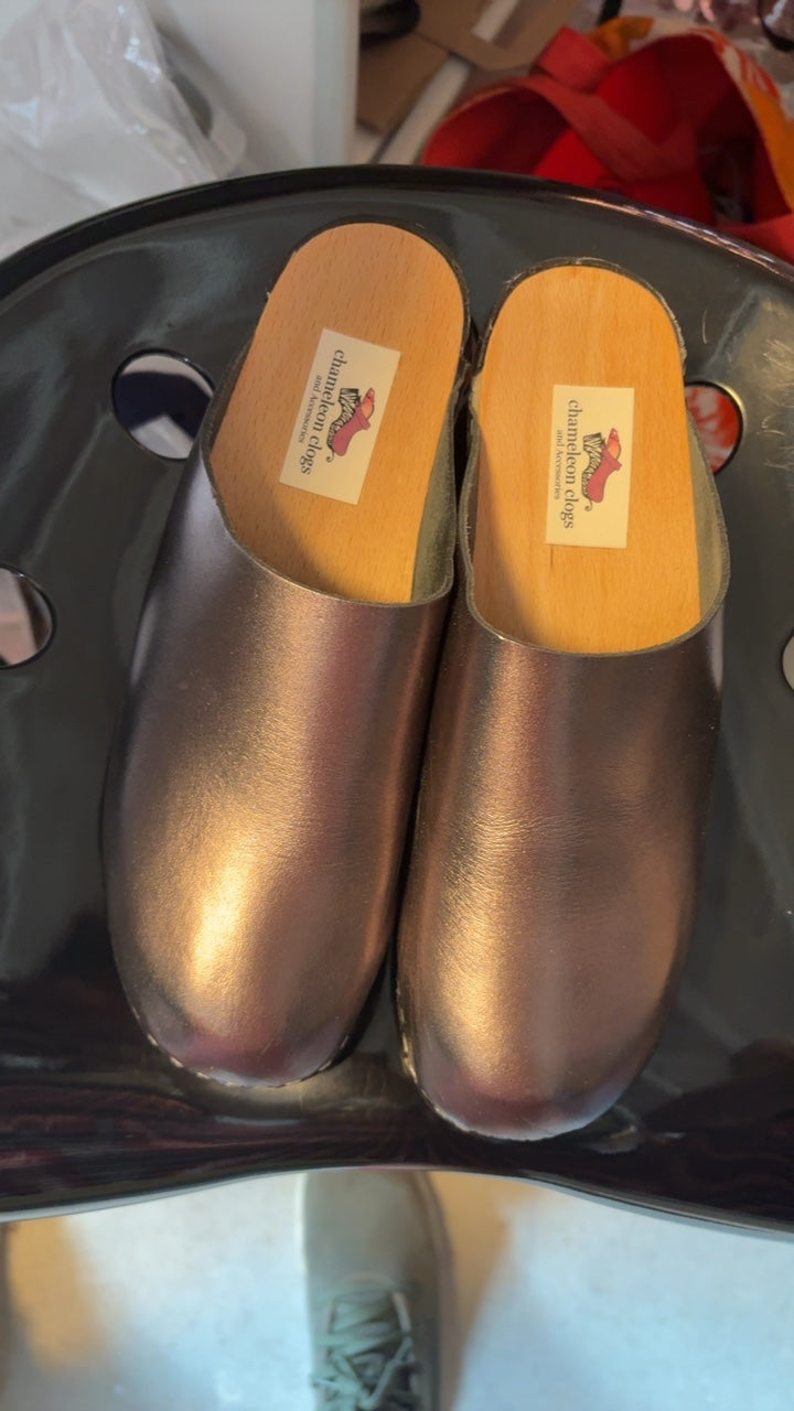 Chameleon Clogs Shoes / Size: 41/10.5