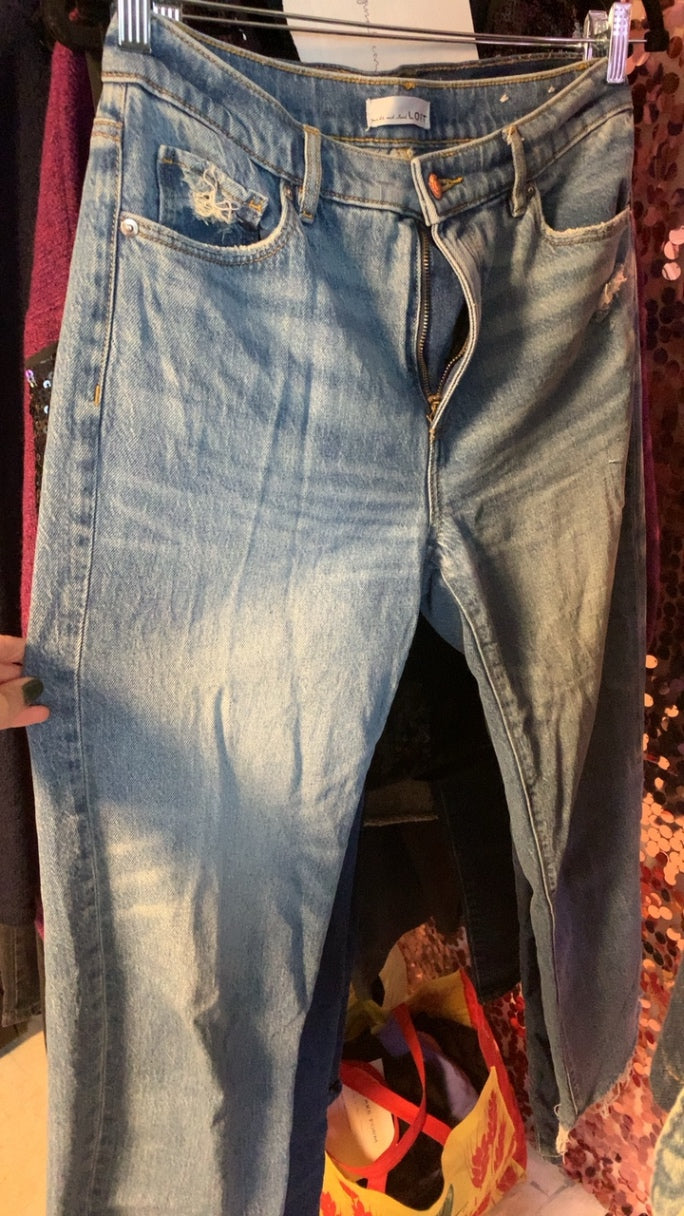 LOFT ankle Jeans / Size: 27/4