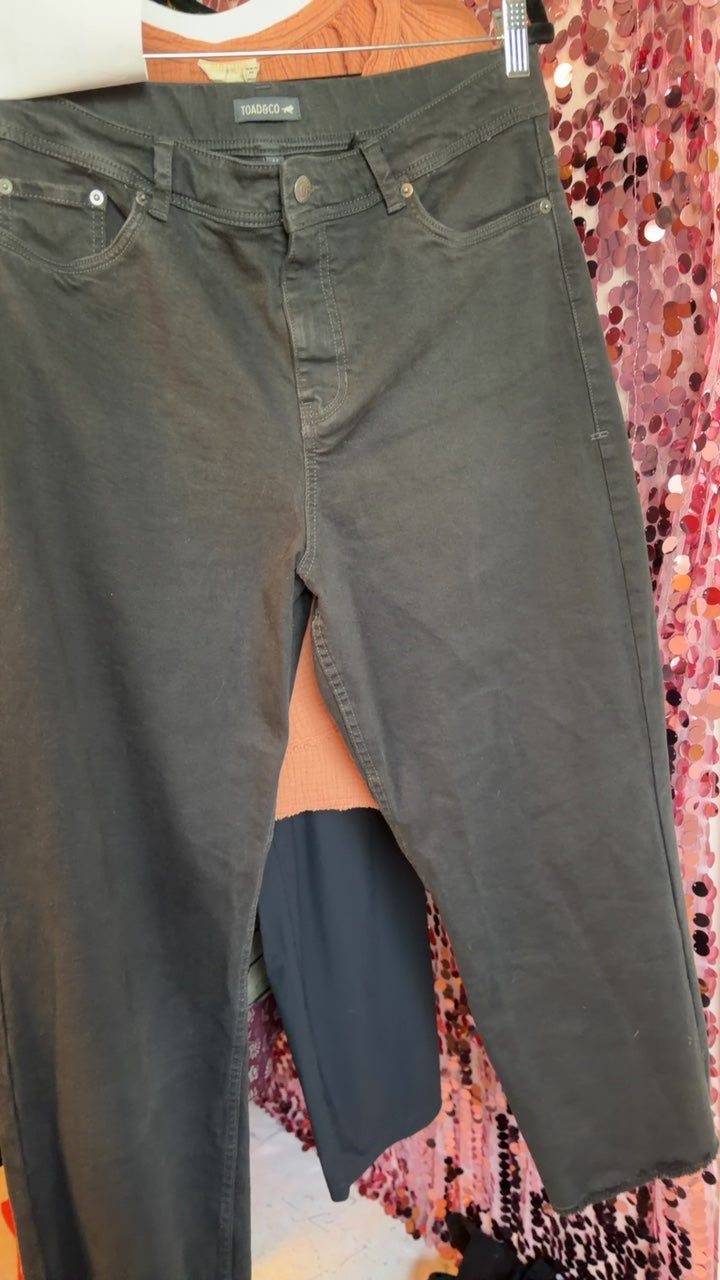Toad & Co Black Denim Pants / Size: 14/L