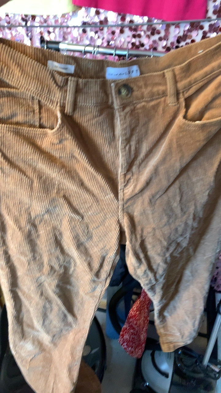 LOFT Camel Pants / Size: 12/L