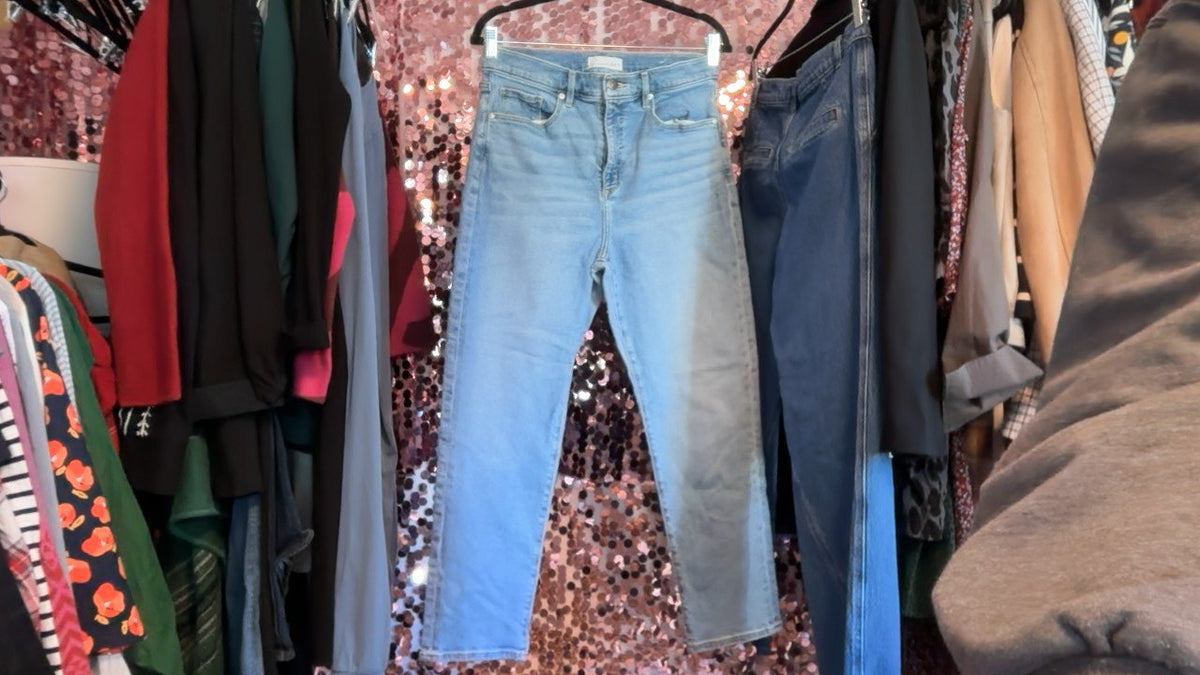LOFT The Slim Jeans / Size: 8/M